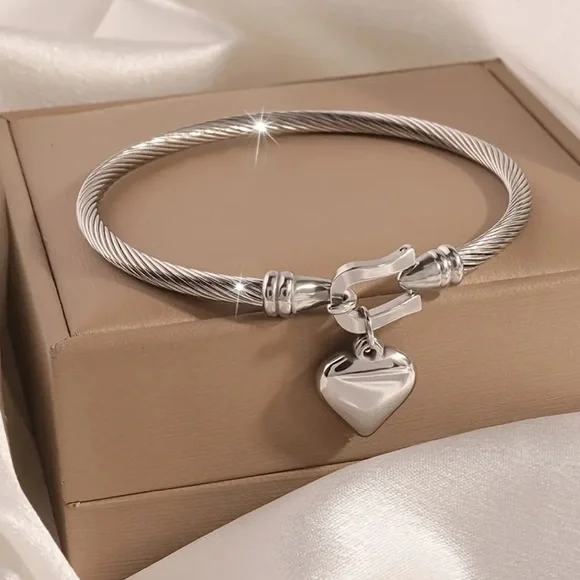 Stainless Steel Heart Shape Locket Bracelet - Picture 1 of 5